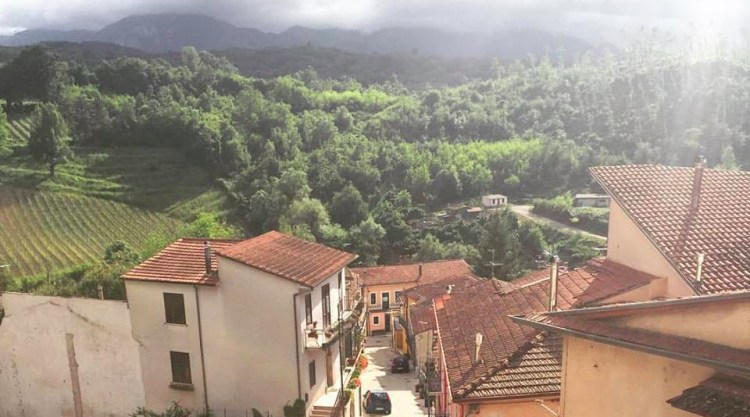 codacchio after storm